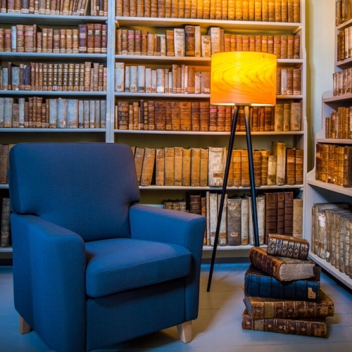 blauer Sessel im Raum mit Bücherregal Wand mit Stehlampe